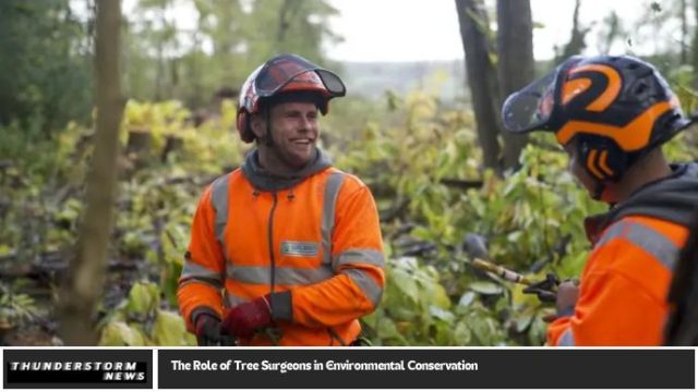 The Role of Tree Surgeons in Environmental Conservation