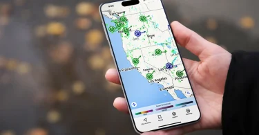 Storm-Safe Live Scores On Your Phone